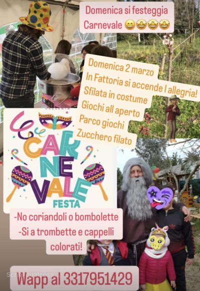 Festa di Carnevale - Fattoria Crisommola aff. Acli Napoli (NA)