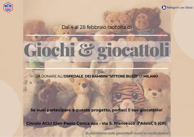 Raccolta Giochi e Giocattoli - Circolo Acli Gian Paolo Conca (CR)