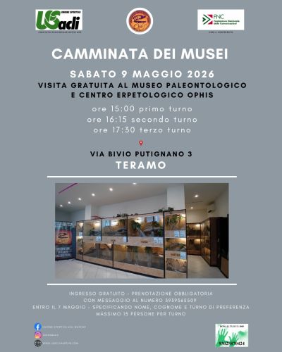 CAMMINATA DEI MUSEI - TERAMO - US ACLI MARCHE