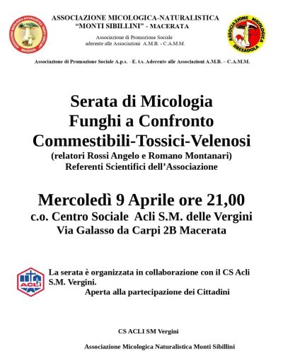 Serata di micologia - Acli Macerata (MC)