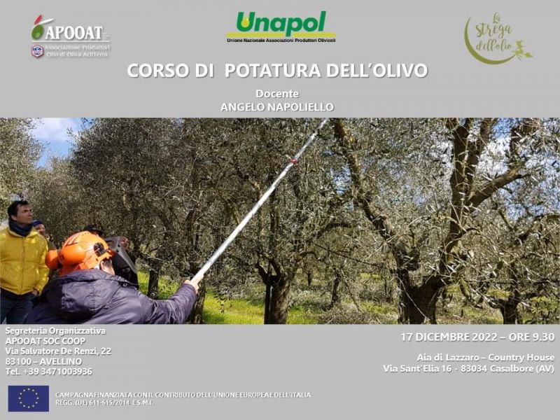 Corso di potatura dell&#039;olivo - Acli Avellino (AV)