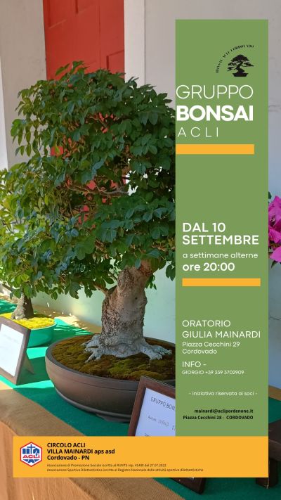 Gruppo Bonsai Acli - Cordovado (PN) - Circolo Acli Villa Mainardi (PN)