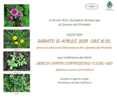 Erbe di campo commestibili e loro uso - Circolo Acli di Giavera del Montello (TV)
