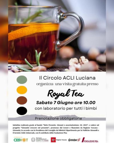 Royal Team - Pisa - Circolo Acli Luciana (PI)