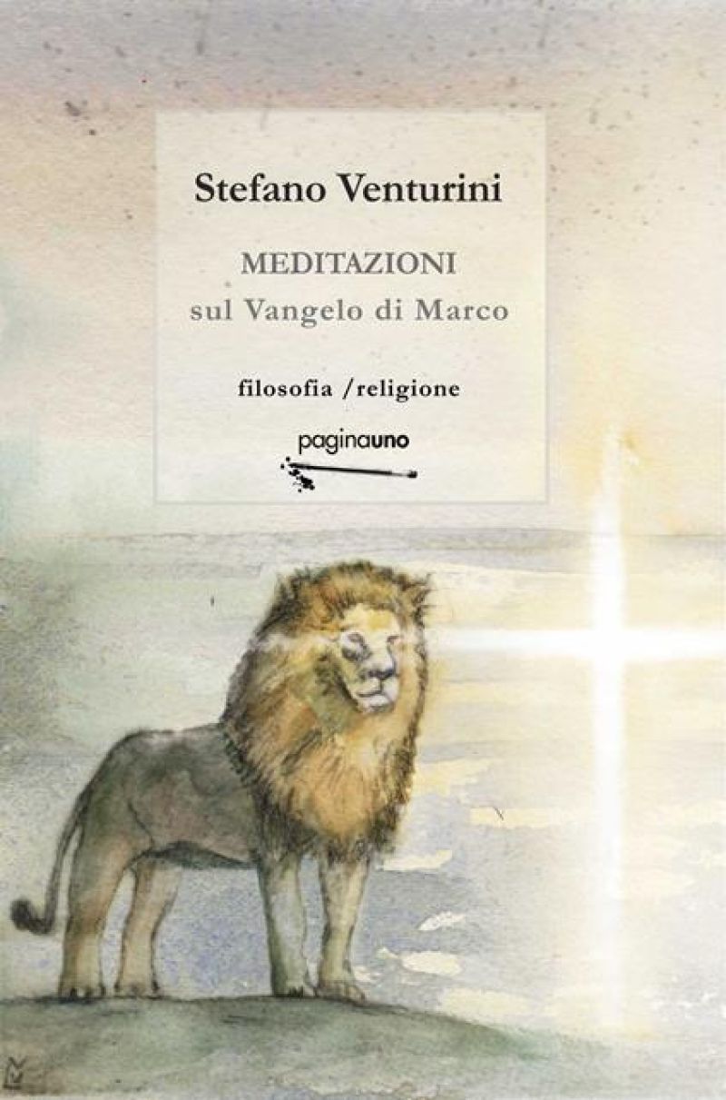 Meditazioni sul Vangelo di Marco - Stefano Venturini