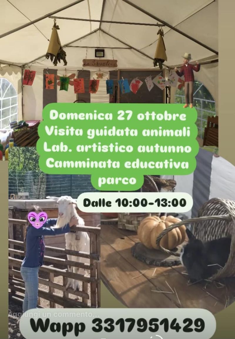 Visita guidata animali, laboratorio artistico autunno e camminata educativa - Associazione &quot;Fattoria Crisommola&quot; affiliata Acli Napoli (NA)