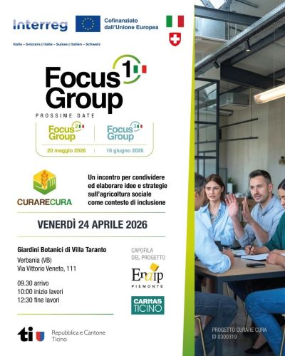 INTERREG CURARECURA FOCUS GROUP 1 - DOMODOSSOLA (VB) - ENAIP PIEMONTE