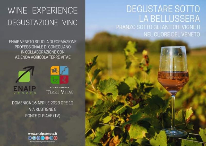 Wine Experience - Enaip Veneto