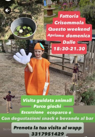 Visita guidata animali, parco giochi, escursione ecoparco e snack - Pollena Trocchia (NA) - Fattoria Crisommola aff. Acli Napoli (NA)