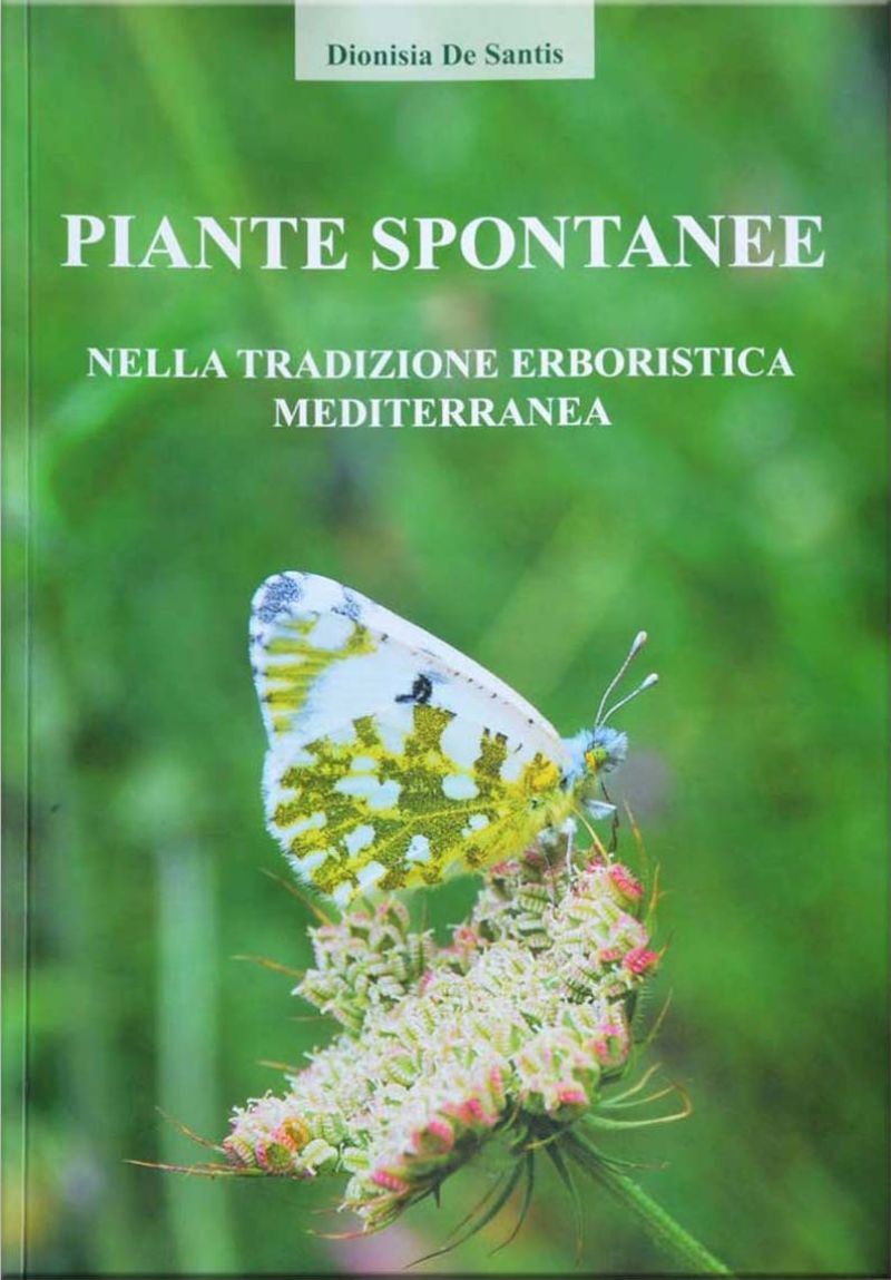 Piante spontanee nella tradizione erboristica mediterranea - Dionisia De Santis