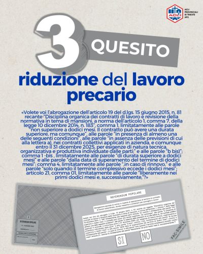 Referendum 8-9 Giugno: 3 Quesito - Acli Trieste (Trieste)