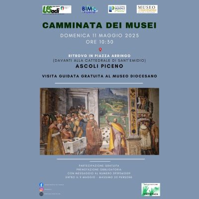 Visita guidata gratuita al Museo Diocesano - US Acli Marche