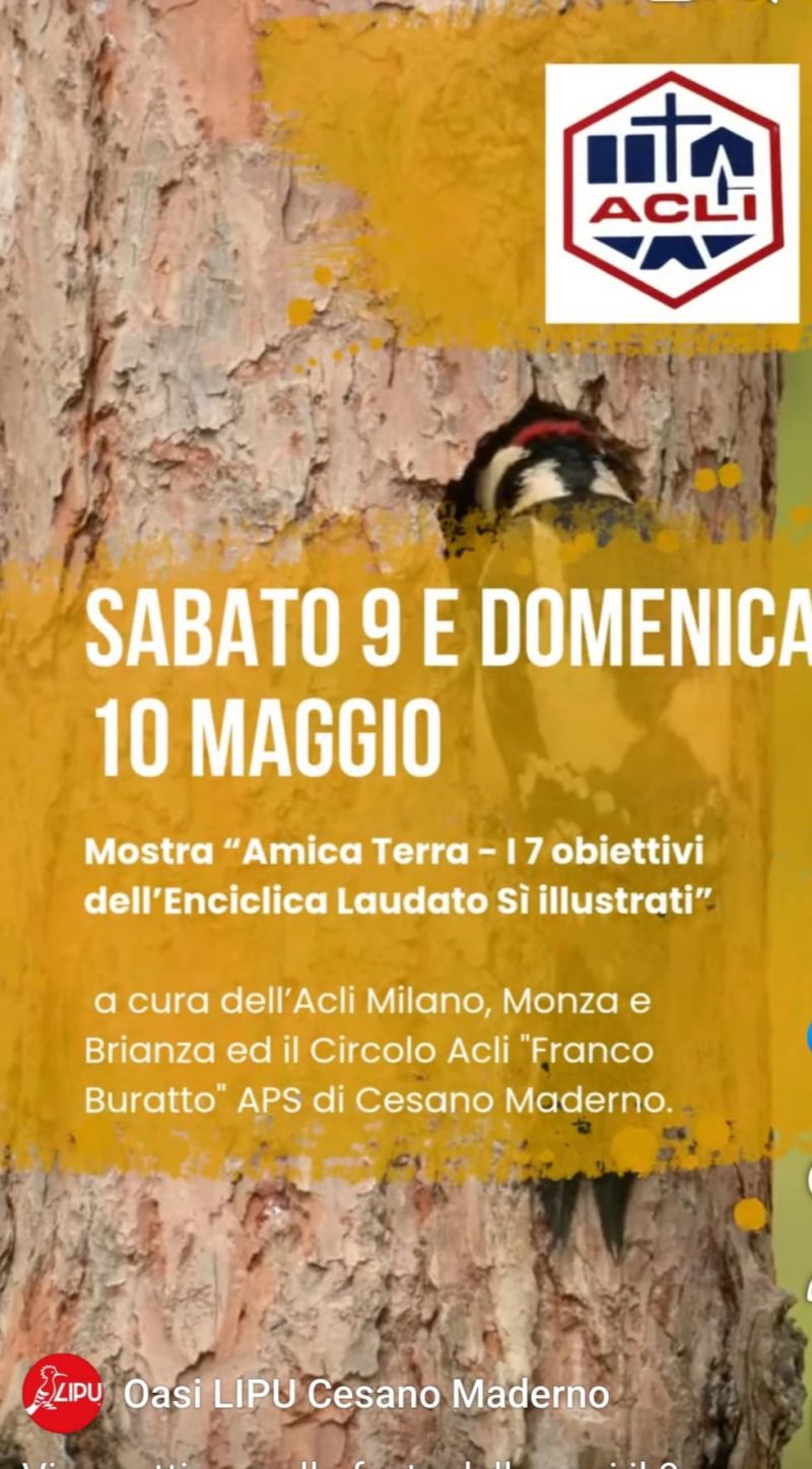 MOSTRA "AMICA TERRA" I 7 OBIETTIVI DELL'ENCICLICA LAUDATO SII ILLUSTRATI - CESANO MADERNO (MB)